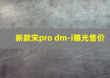 新款宋pro dm-i曝光售价